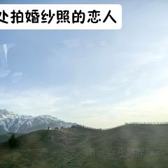 晃晃咖啡 User Photo