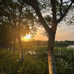 春来阁·当地农家菜(沙家浜景区店) User Photo