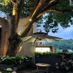 XISHAN YUNJING User Photo