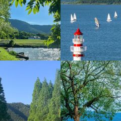 SEAFOOD SPECIAL KITCHEN User Photo