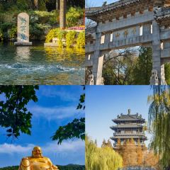 孙家糖油条 User Photo