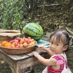 天水源农庄(天目湖店) User Photo