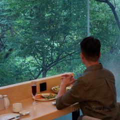SHINKAI 여행 사진