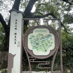 五芳齋(沈蕩店)張用戶圖片