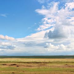 MO RI GE LE MENG GU DA YING User Photo