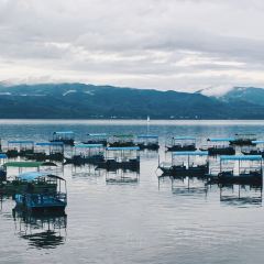 抚仙湖大知闲闲民宿·掌间 User Photo