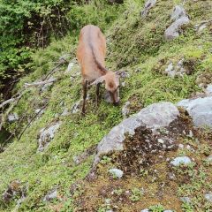 梅子山庄·土司宴 User Photo