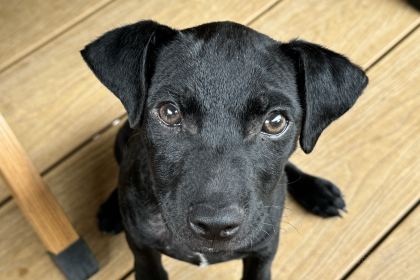 四月浅草风(锦屏路店)