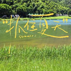 東大方（安吉香樟店）張用戶圖片