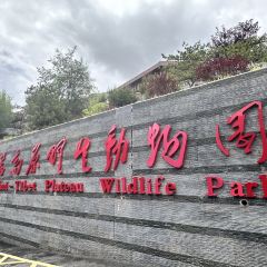 伊帆食府地方特色美食 여행 사진