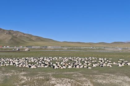 新达吾提大烤店