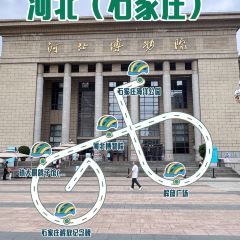南仓口王家传统烧麦馆(大寺店) User Photo