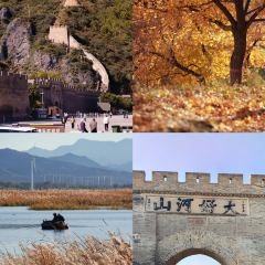 村里香农家菜 User Photo