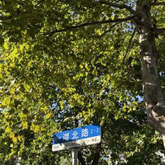 FU QI TUO TUO User Photo