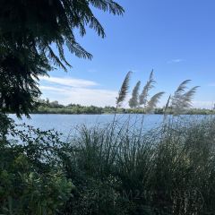 云孚里云宿.西湖云岛·餐厅 User Photo