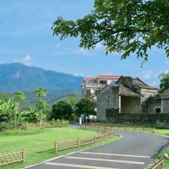 XING JI SUGAR CANE ICE User Photo