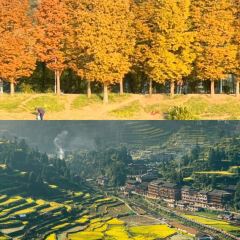 Dan's Crispy Duck User Photo