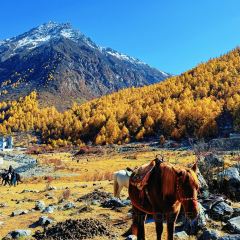 遇见音乐餐吧 User Photo