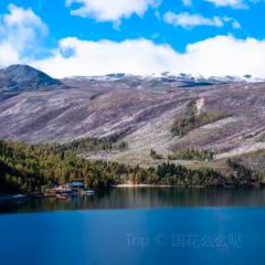 MALAYA TIBETAN RESTAURANT User Photo