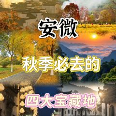 秀嫂挞粿 User Photo