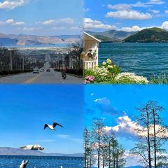 IN MY HEART User Photo