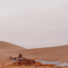 五味香·驴肉黄面·胡杨焖饼·烧烤(敦煌店) User Photo