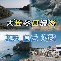 喜鼎海胆水饺(星海湾壹号店) User Photo