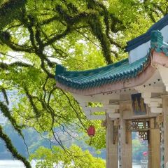 吴进平小食店 User Photo