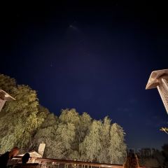 1484 By Puro User Photo