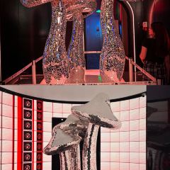 T61 TERMINAL HONGQING User Photo