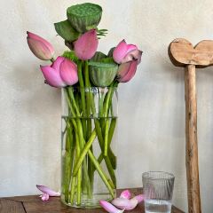 王啡張用戶圖片