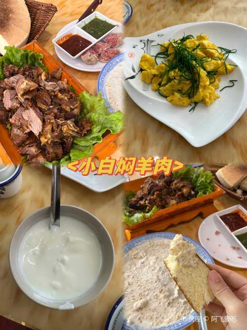 ze cheng bing zhu yang ( can he lu dian )