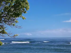 Poipu Beach