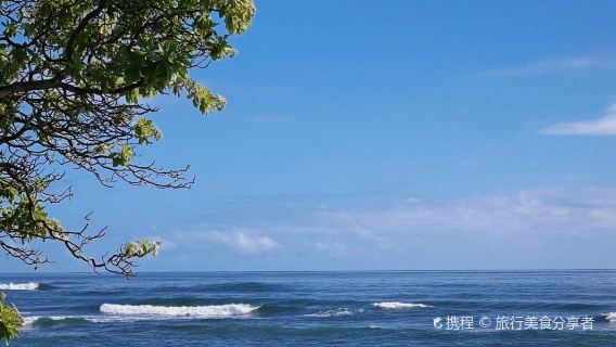 Poipu Beach