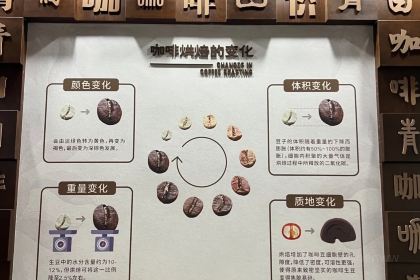 青咖·西餐厅