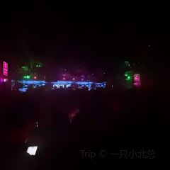 Culture Club （INS新樂園店）張用戶圖片