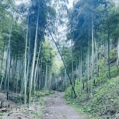 丁师傅205老面馆 User Photo