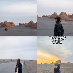 思露杏皮茶 User Photo
