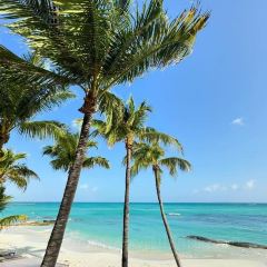 Le Basilic - Grand Fiesta Americana Coral Beach ảnh của người dùng