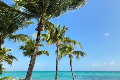 Le Basilic - Grand Fiesta Americana Coral Beach