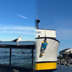 Tatte Bakery & Cafe User Photo