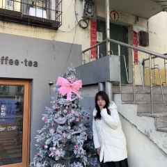 素咖啡茶馆 User Photo