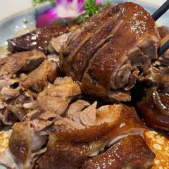 霸皇鸽 User Photo