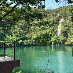 清雅茶苑(山湾里店) User Photo