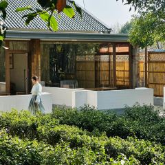 紫金山院張用戶圖片