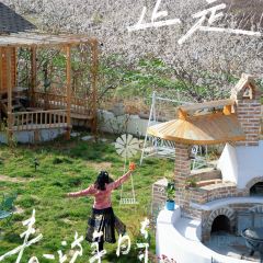 晃晃咖啡 User Photo