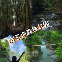 荥经龙苍景园民宿(龙苍沟国家森林公园店)·农家乐 여행 사진