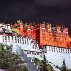 钟阿姨手工酸奶 User Photo