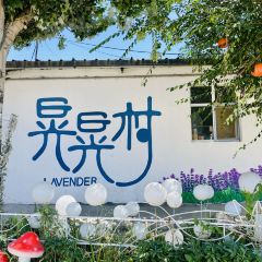 晃晃咖啡 User Photo