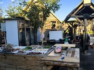 HE MU TU HUO GUO TU JI GUAN